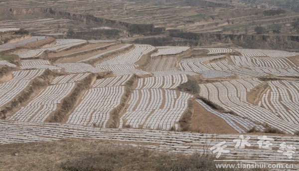 金集鎮(zhèn)04.jpg