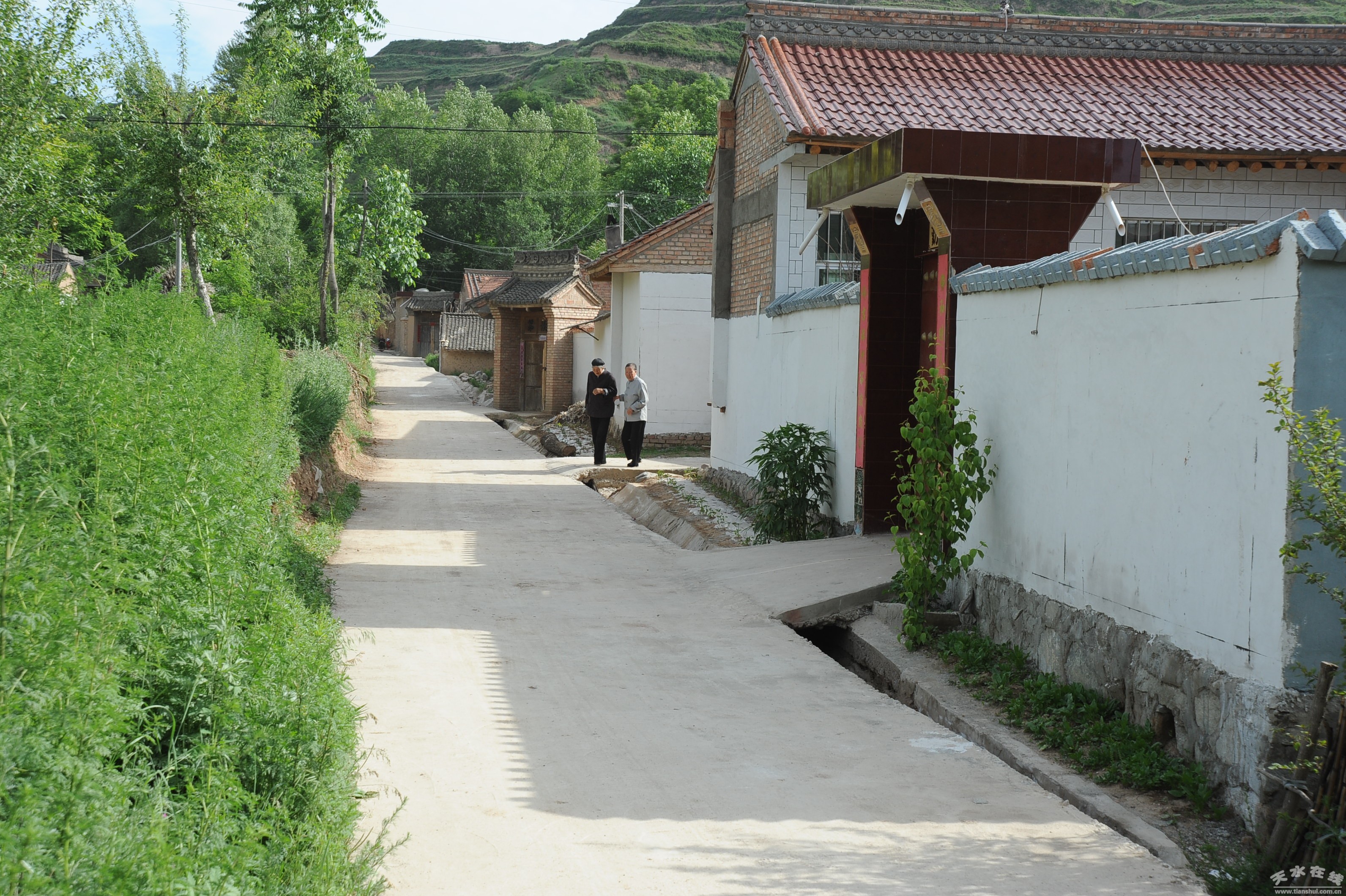 DSC_0095.JPG