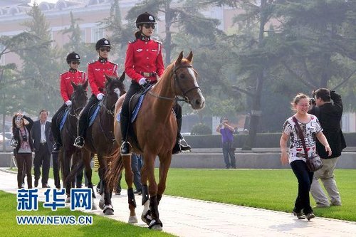 大連騎警每匹警馬日花費80元 被指長官意志產(chǎn)物