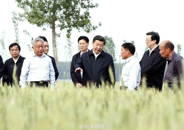 習(xí)近平:基層形式主義根源在上行下效
