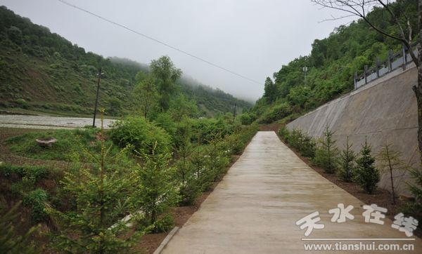 山門至軒轅谷生態(tài)環(huán)境及軒轅宮 (26).jpg