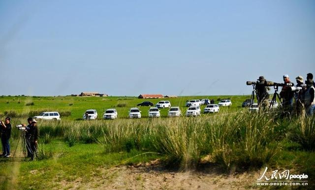 內(nèi)蒙古大批越野車遮號牌扎堆下鄉(xiāng)“拍馬”