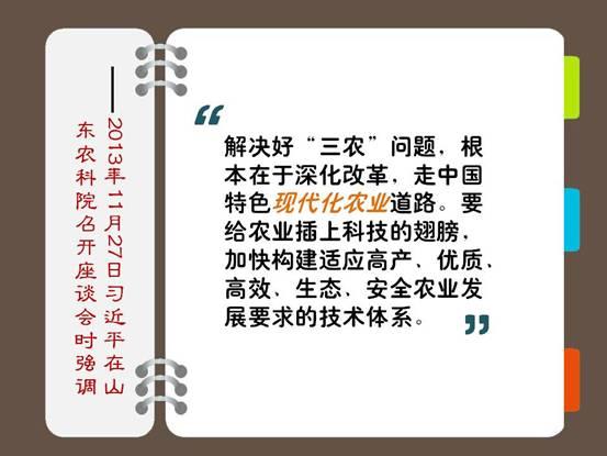 習(xí)近平談三農(nóng):端牢“飯碗” 推進(jìn)農(nóng)業(yè)強(qiáng)農(nóng)民富