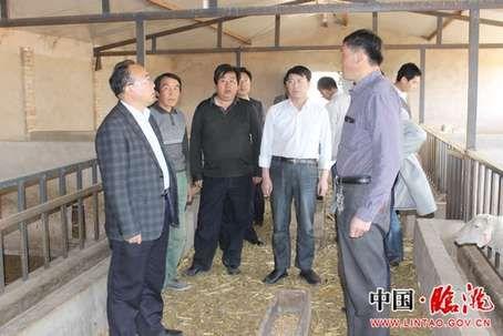柴生芳下鄉(xiāng)檢查工作