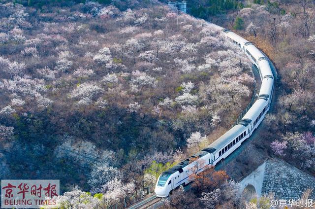 和諧號列車穿越居庸關(guān)花海 被贊開往春天的列車