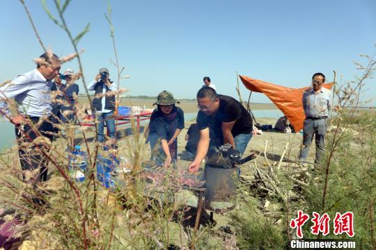 國慶假期新疆塔里木河灘大漠成旅游新寵游人如織流連忘返