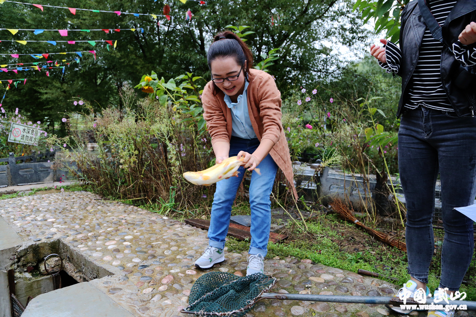 點擊查看大圖