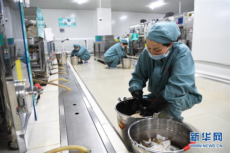 (新華全媒頭條·圖文互動)(3)讓中華瑰寶為呵護人類健康再放異彩——我國中醫(yī)藥傳承創(chuàng)新發(fā)展邁進新時代